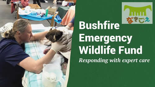 Bushfire Emergency Wildlife Fundのポスター